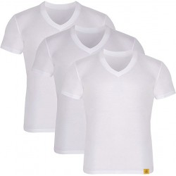DAYCO V Yaka Bambu Beyaz Renk Erkek Fanila T-Shirt 3lü - XL Beden - ICT202-XL-VBYZ