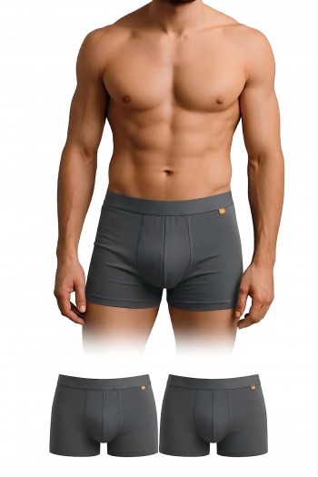 Dayco Premium Bambu Erkek Boxer Füme Renk İkili Paket - BBX102-XXL-FUME-CIFT