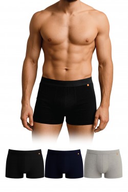 Dayco Premium Cotton Erkek Boxer Asorti Üçlü Paket - CBX103-L-AST-UCLU